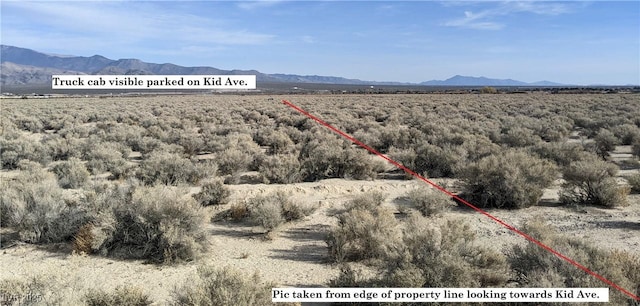 3950 S Kid Ave, Pahrump, NV 89048 - photo 1