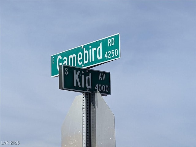 3950 S Kid Ave, Pahrump, NV 89048 - photo 3