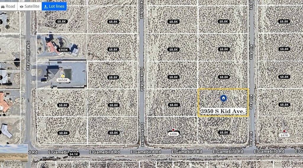3950 S Kid Ave, Pahrump, NV 89048 - photo 2