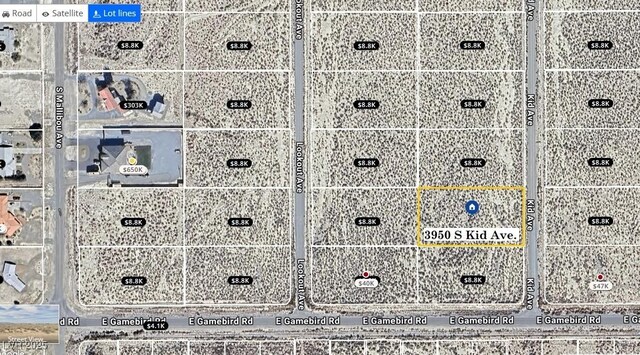 3950 S Kid Ave, Pahrump, NV 89048 - photo 2