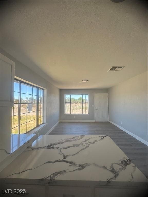 1967 N Moapa Valley Blvd, Logandale, NV 89021 - unfurnished room with wood finished floors and a textured ceiling