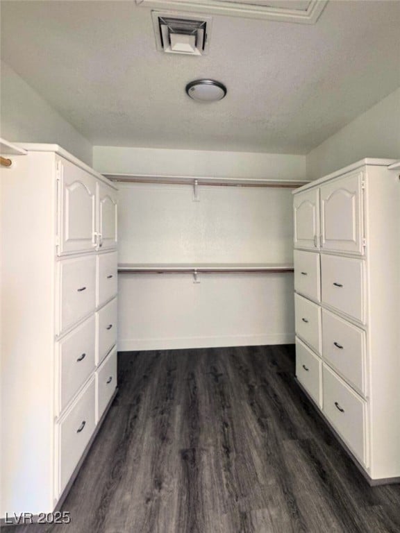 1967 N Moapa Valley Blvd, Logandale, NV 89021 - spacious closet with dark wood finished floors