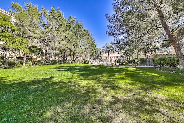 230 E Flamingo Rd Unit 129, Las Vegas, NV 89169 - view of green lawn