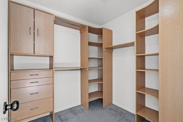 10642 Dawns Mist Ave, Las Vegas, NV 89129 - walk in closet with carpet floors