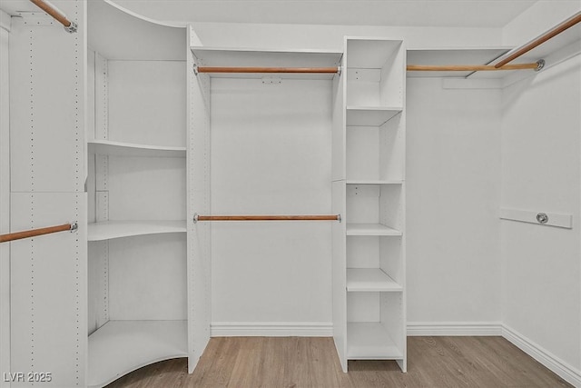 3935 Tirana Way, Las Vegas, NV 89103 - walk in closet featuring wood finished floors