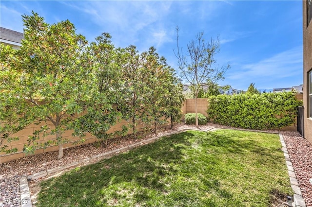 9655 Skye Star Ave, Las Vegas, NV 89166 - view of yard