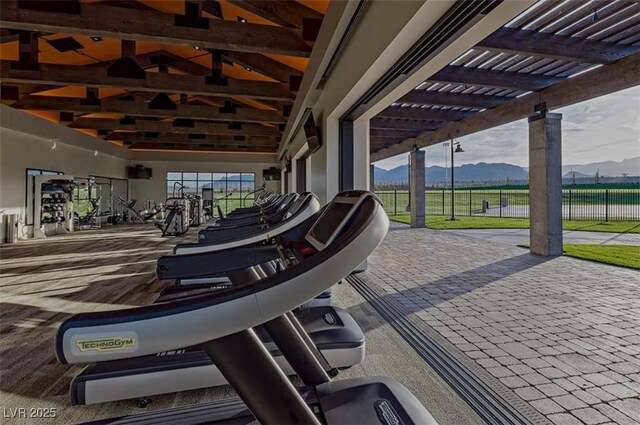 9655 Skye Star Ave, Las Vegas, NV 89166 - exercise room with plenty of natural light