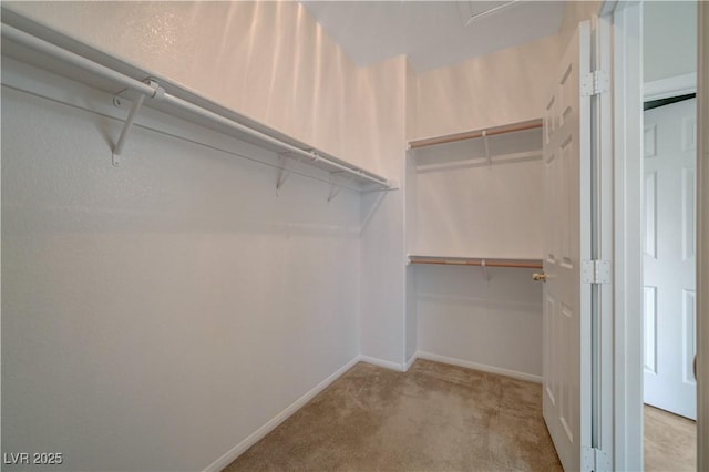 11441 Drappo Ave, Las Vegas, NV 89138 - walk in closet with carpet flooring