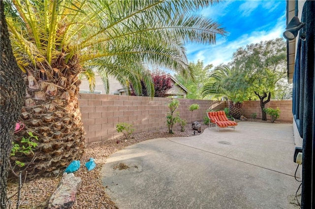 11441 Drappo Ave, Las Vegas, NV 89138 - fenced backyard with a patio area