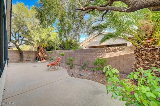 11441 Drappo Ave, Las Vegas, NV 89138 - fenced backyard featuring a patio