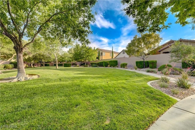 11441 Drappo Ave, Las Vegas, NV 89138 - view of yard
