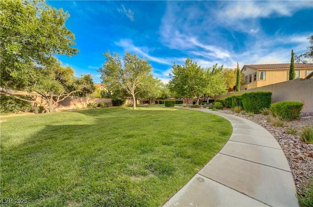 11441 Drappo Ave, Las Vegas, NV 89138 - view of yard