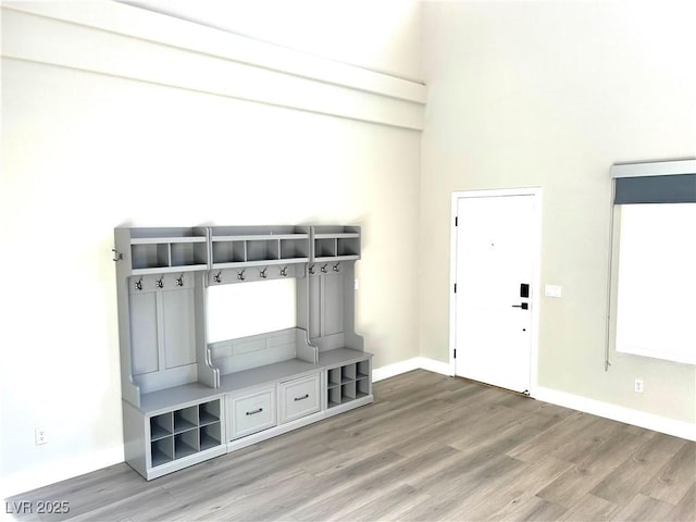 10908 Royal Highlands St, Las Vegas, NV 89141 - mudroom with light wood-type flooring and baseboards