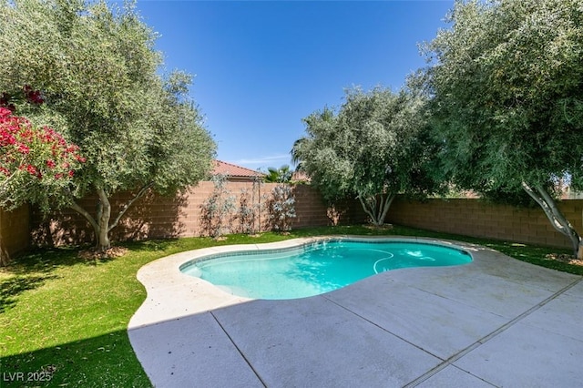 10908 Royal Highlands St, Las Vegas, NV 89141 - view of pool featuring a patio