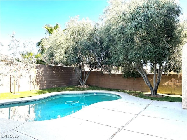 10908 Royal Highlands St, Las Vegas, NV 89141 - view of pool featuring a fenced backyard and a patio