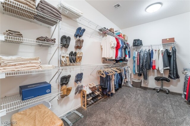 2413 Mourning Warbler Ave, North Las Vegas, NV 89084 - spacious closet featuring carpet floors