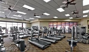 2413 Mourning Warbler Ave, North Las Vegas, NV 89084 - exercise room featuring ceiling fan and carpet