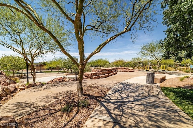 216 Callen Falls Ave Unit 1423, Henderson, NV 89011 - photo 47