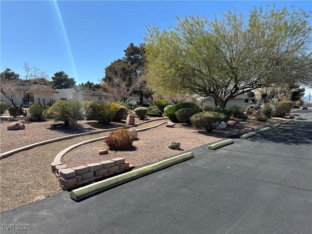 5720 Goldmount Ave, Las Vegas, NV 89107 - view of yard