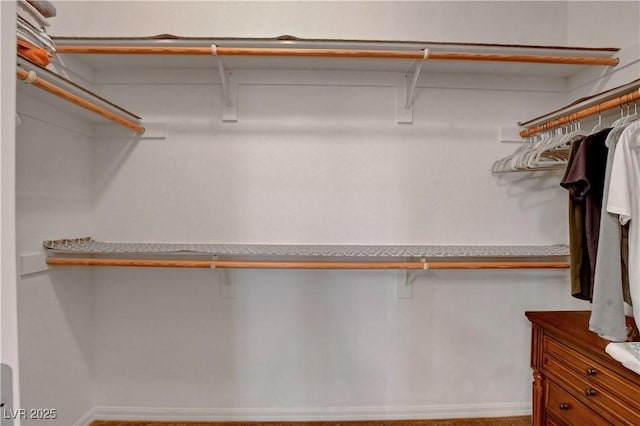1560 Plaza Centre Dr Unit 103, Las Vegas, NV 89135 - view of walk in closet
