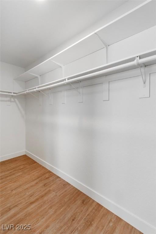 831 Purple Sage Ter, Henderson, NV 89015 - walk in closet with light wood-style flooring