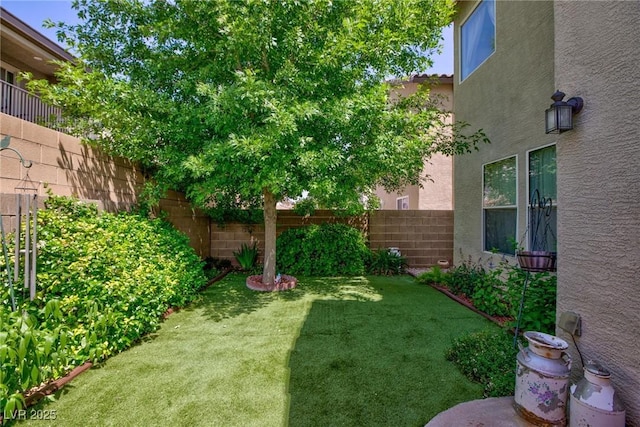 3404 Brayton Mist Dr, North Las Vegas, NV 89081 - view of yard