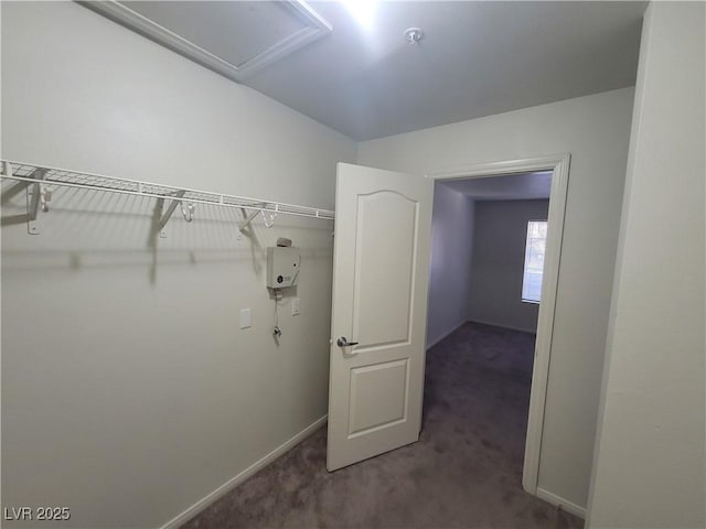 7730 Secret Shore Dr Unit 207, Las Vegas, NV 89128 - walk in closet with carpet floors