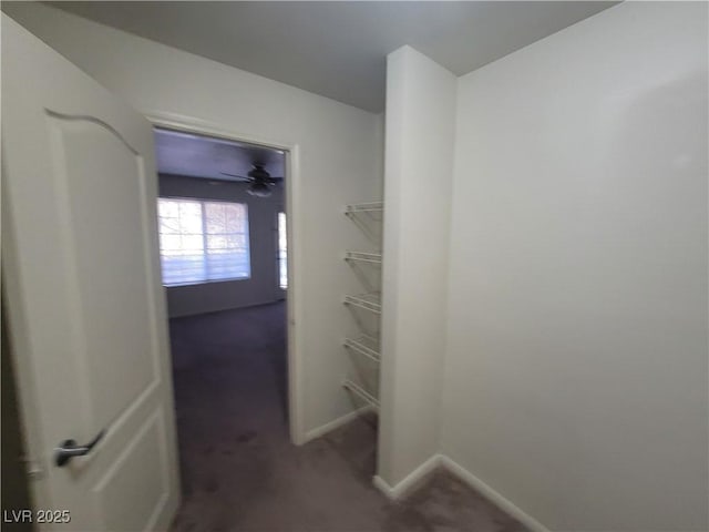 7730 Secret Shore Dr Unit 207, Las Vegas, NV 89128 - spacious closet featuring carpet flooring