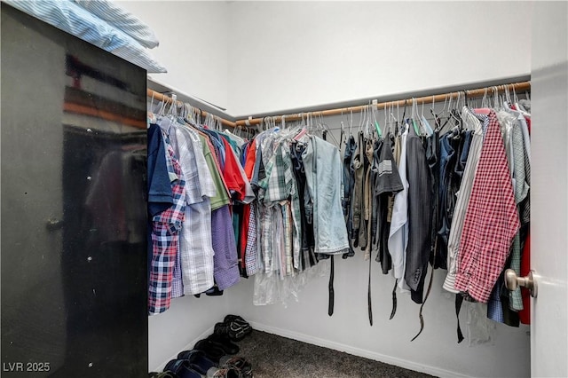 4020 Driscoll Mountain St, Las Vegas, NV 89129 - spacious closet with carpet flooring