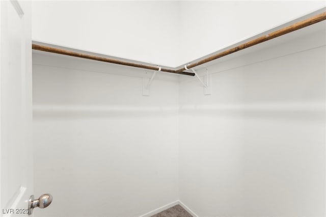 2495 Sunflower Days Ave Unit 2052, North Las Vegas, NV 89031 - walk in closet with carpet