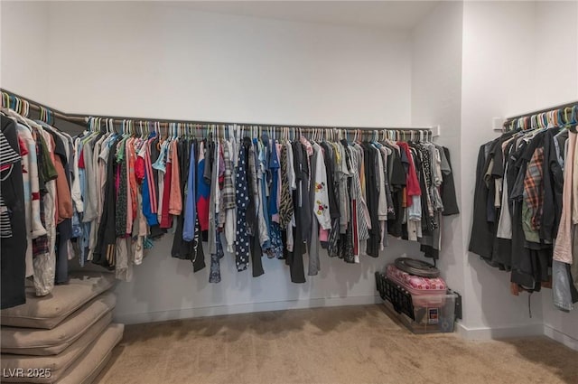 754 Tallgrass St, Las Vegas, NV 89138 - spacious closet featuring carpet flooring