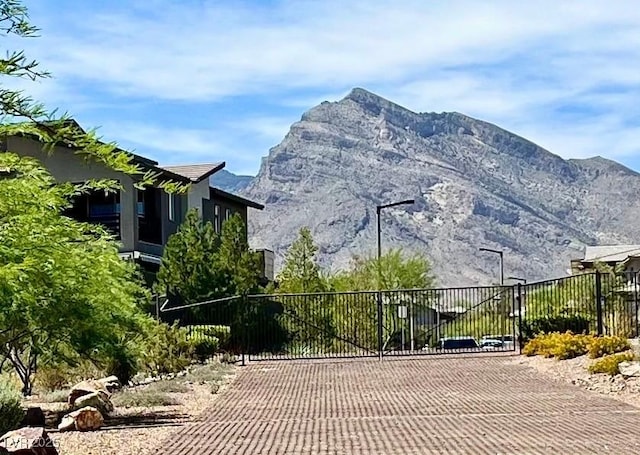 754 Tallgrass St, Las Vegas, NV 89138 - mountain view