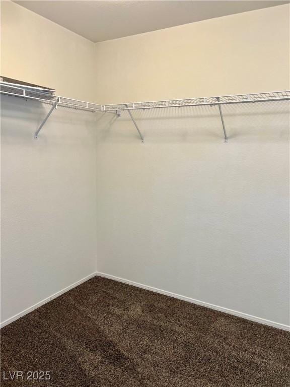 1921 Moonlight Bluff Ave, North Las Vegas, NV 89084 - spacious closet featuring dark colored carpet