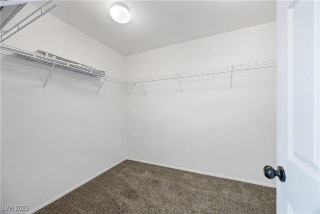 1921 Moonlight Bluff Ave, North Las Vegas, NV 89084 - photo 30