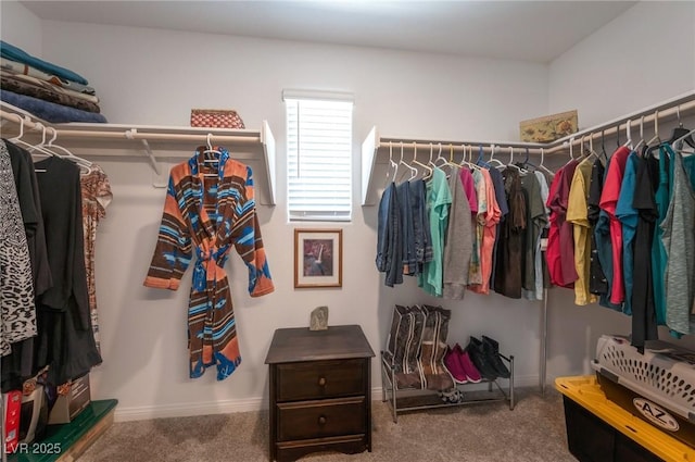 12348 Golden Wreath Rd Unit 1, Las Vegas, NV 89183 - spacious closet with carpet