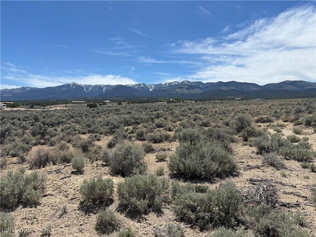 680 E 295th St S, Ely, NV 89301