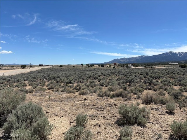 680 E 295th St S, Ely, NV 89301