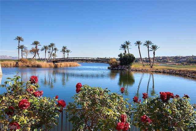 8 Laricola Ct, Henderson, NV 89011 - water view