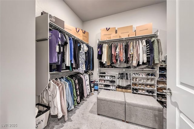 101 Mirage View Dr, Henderson, NV 89011 - view of spacious closet
