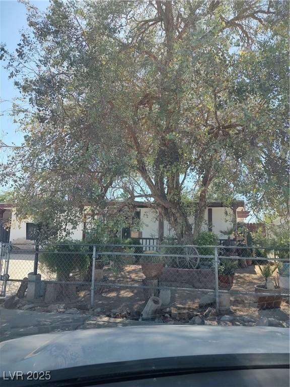 4727 Conrad St, Las Vegas, NV 89121 - view of property hidden behind natural elements featuring a fenced front yard and stucco siding