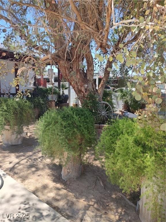 4727 Conrad St, Las Vegas, NV 89121 - view of yard