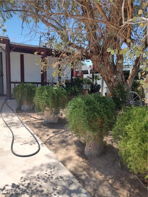 4727 Conrad St, Las Vegas, NV 89121 - view of yard
