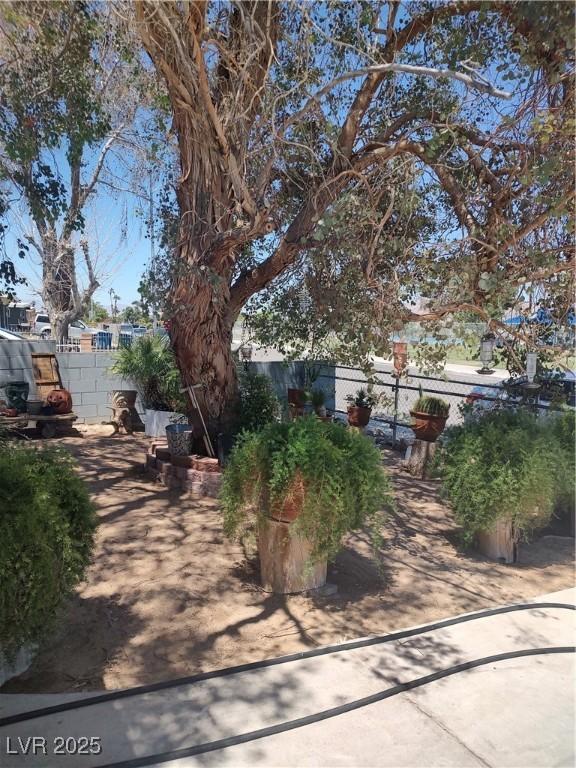 4727 Conrad St, Las Vegas, NV 89121 - view of yard