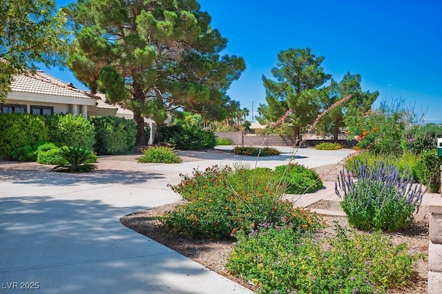 8365 S Hauck St, Las Vegas, NV 89139 - view of community