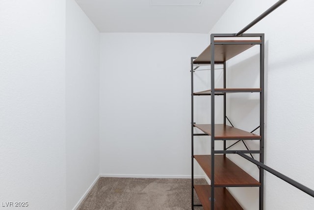 5259 Caspian Springs Dr Unit 203, Las Vegas, NV 89120 - walk in closet with carpet