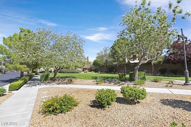 2864 Kinknockie Way, Henderson, NV 89044 - view of home's community