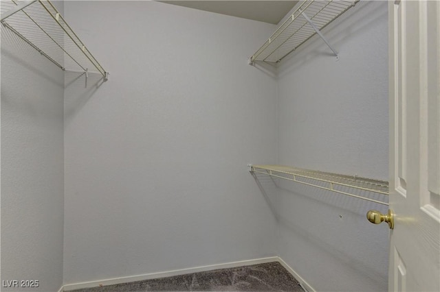 7968 Lisa Dawn Ave, Las Vegas, NV 89147 - view of spacious closet