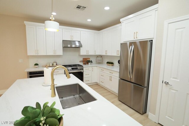 2623 Red Planet St, Henderson, NV 89044 - kitchen with stainless steel appliances, under cabinet range hood, a sink, light wood-type flooring, and hanging light fixtures