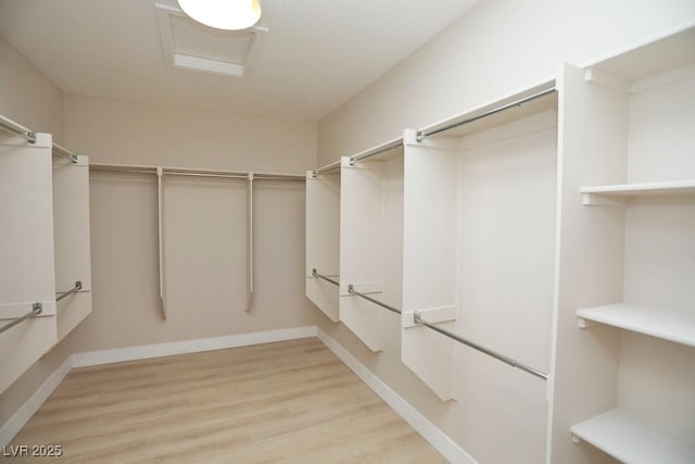 2623 Red Planet St, Henderson, NV 89044 - walk in closet featuring light wood finished floors and attic access