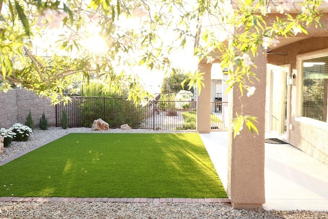2623 Red Planet St, Henderson, NV 89044 - view of yard